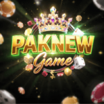 PAKNEW Game